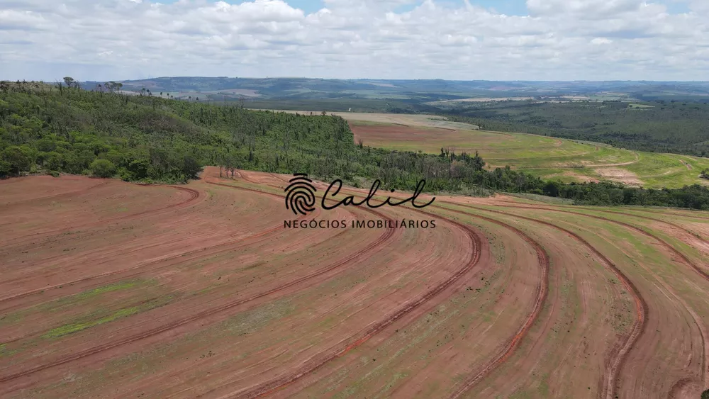 Fazenda, 131 hectares - Foto 12