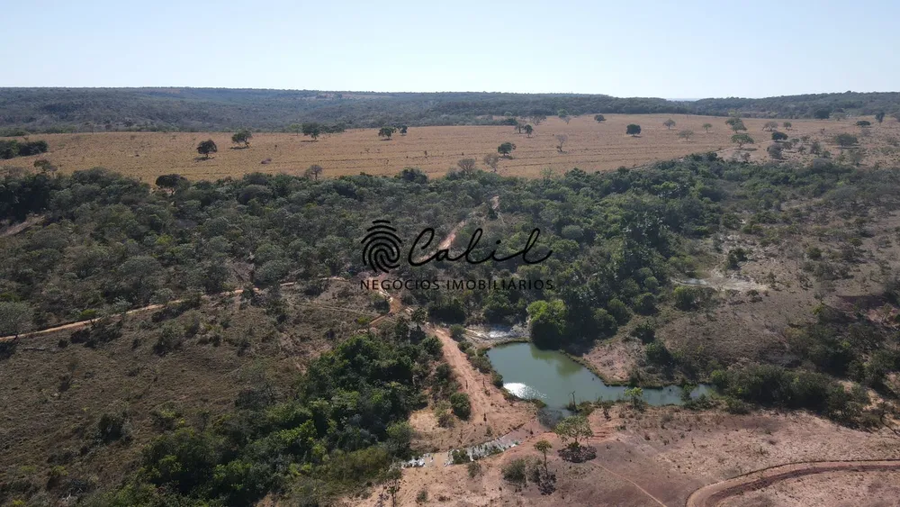 Fazenda, 615 hectares - Foto 8