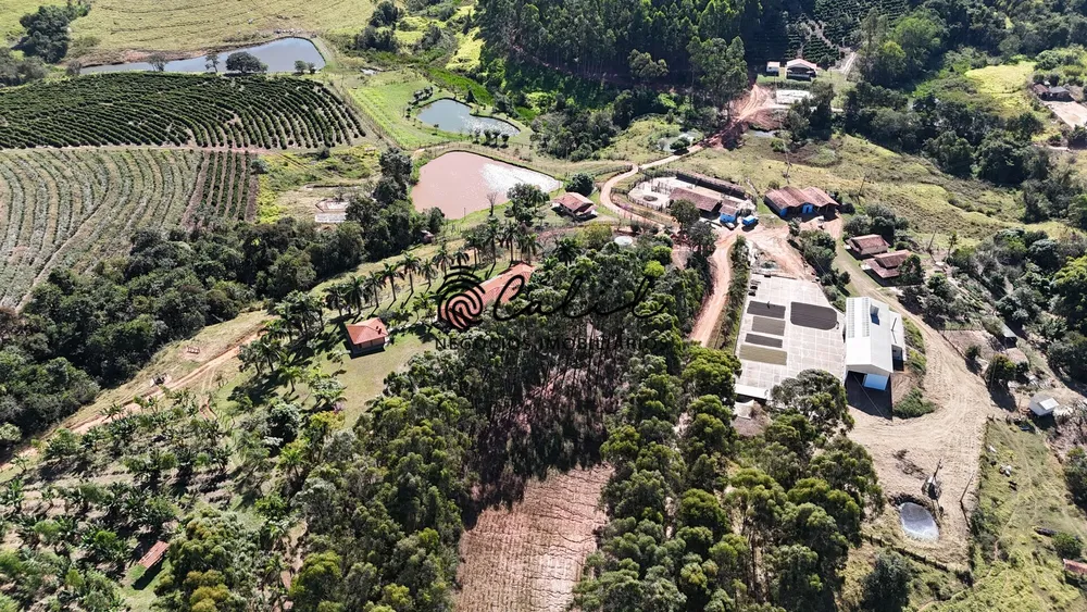 Fazenda, 188 hectares - Foto 5