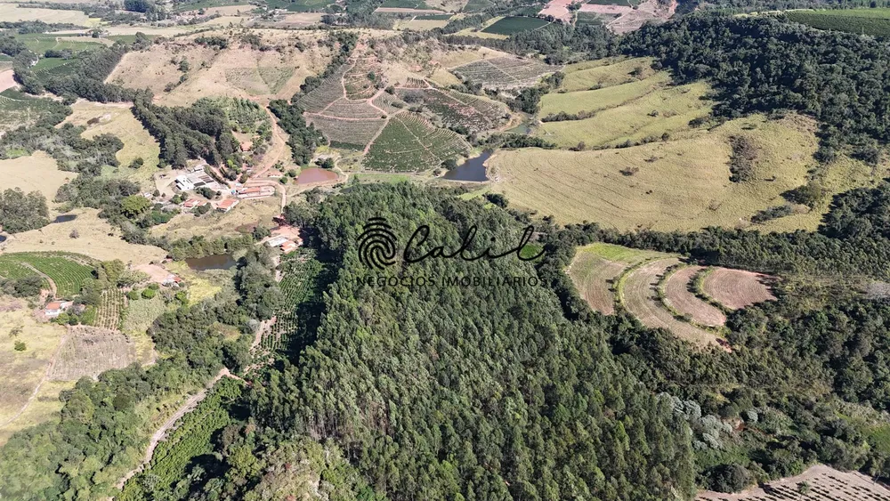 Fazenda, 188 hectares - Foto 4