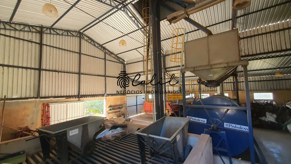 Fazenda, 188 hectares - Foto 12