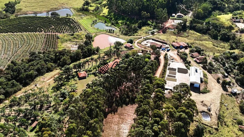 Fazenda, 188 hectares - Foto 6