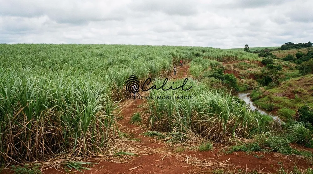 Fazenda, 1930 hectares - Foto 1