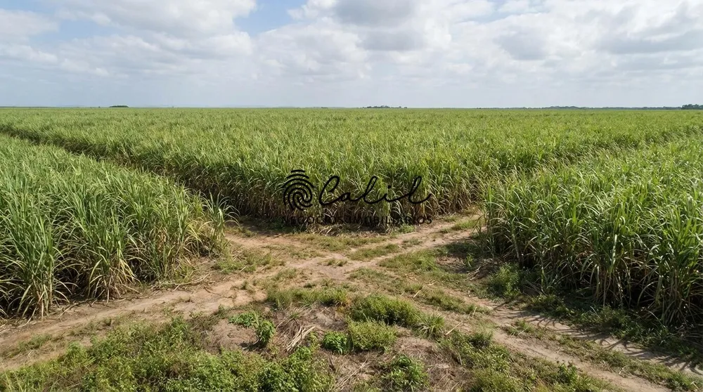 Fazenda, 1930 hectares - Foto 2