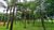 Terreno, 1500 m² - Foto 1