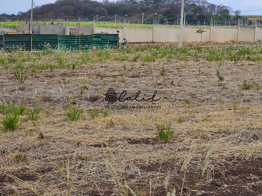 Terreno, 250 m² - Foto 2