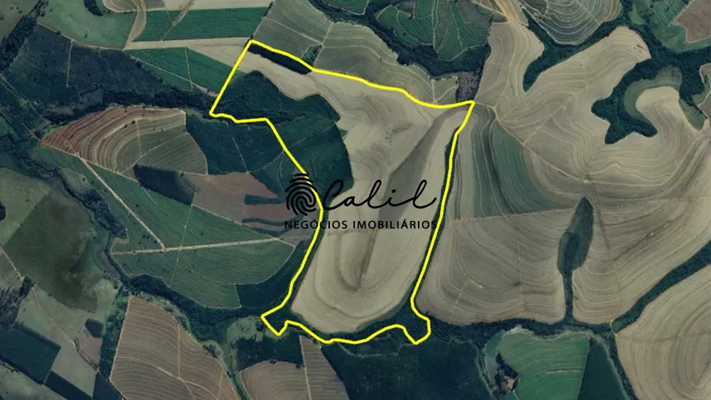 Fazenda, 168 hectares - Foto 4