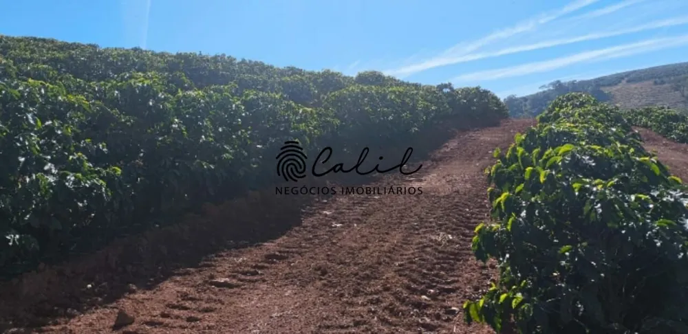 Fazenda, 169 hectares - Foto 13