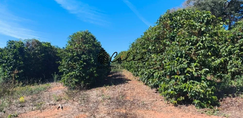 Fazenda, 169 hectares - Foto 17