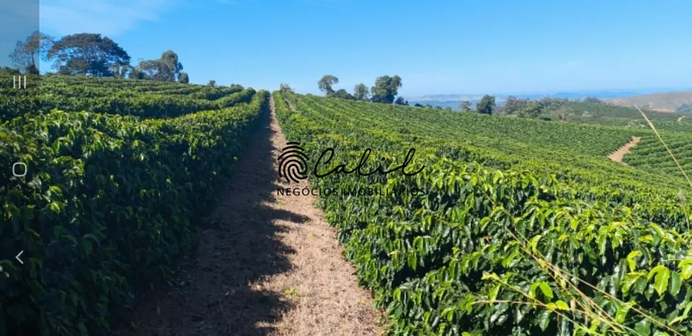 Fazenda, 169 hectares - Foto 14