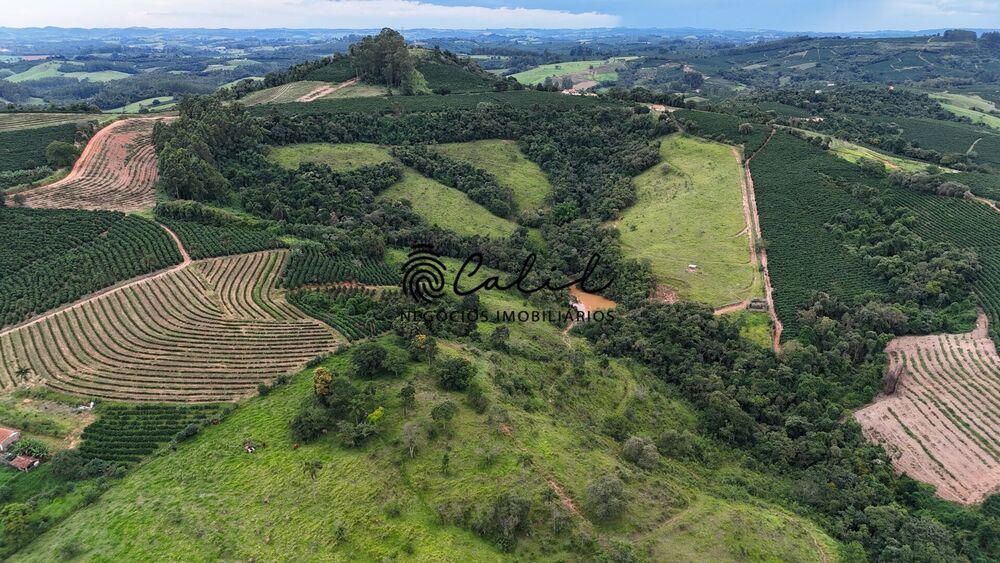 Fazenda, 28 hectares - Foto 4