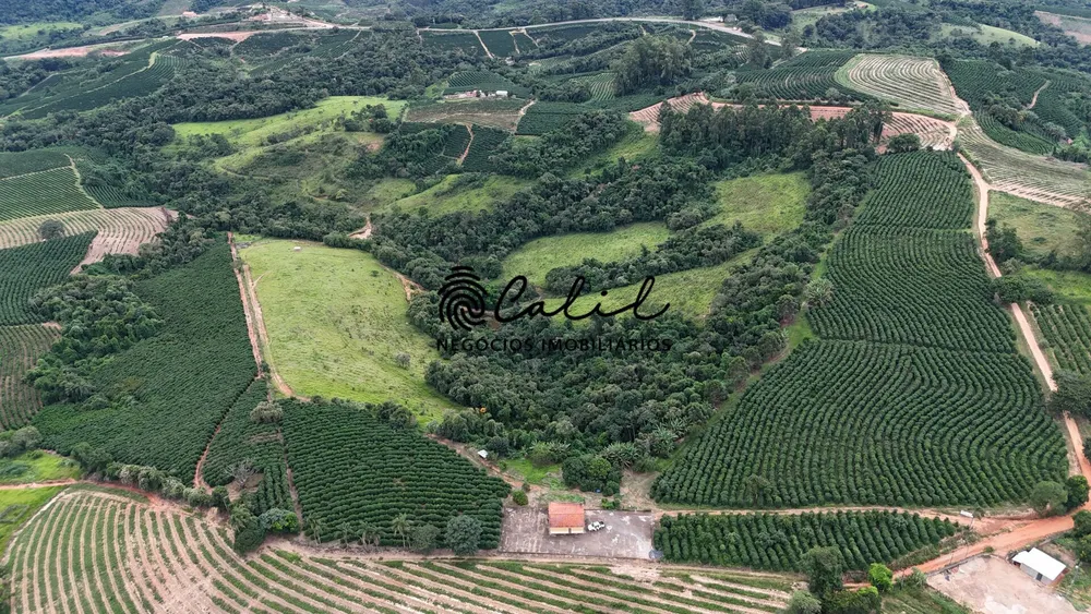Fazenda, 28 hectares - Foto 8