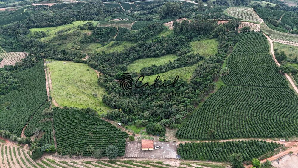 Fazenda, 28 hectares - Foto 2