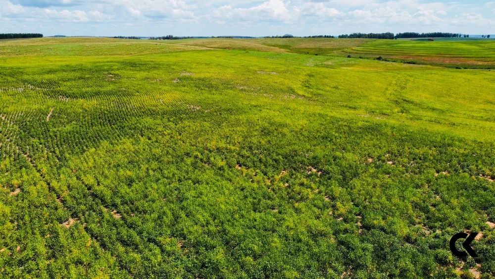 Fazenda, 430 hectares - Foto 1