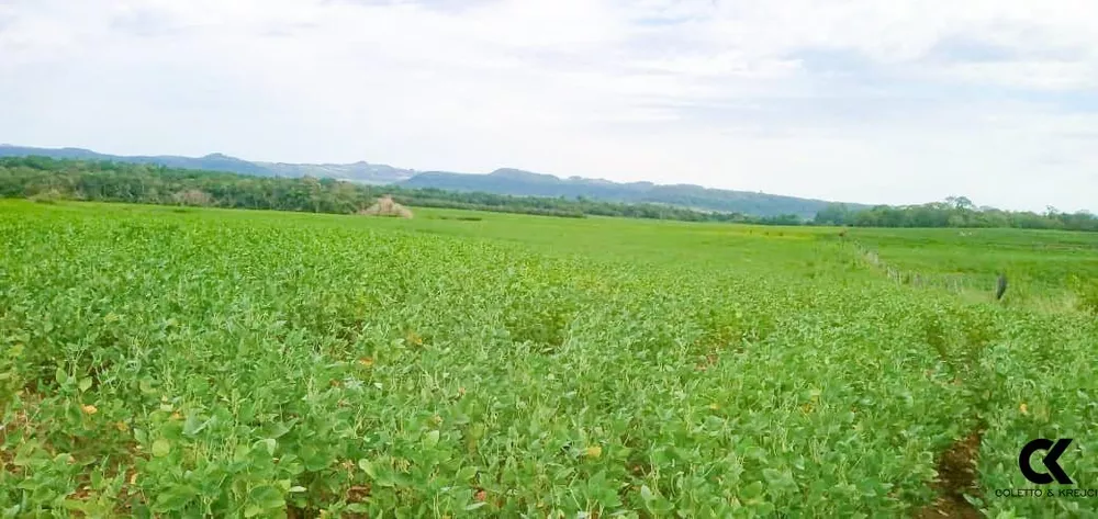 Fazenda, 150 hectares - Foto 2