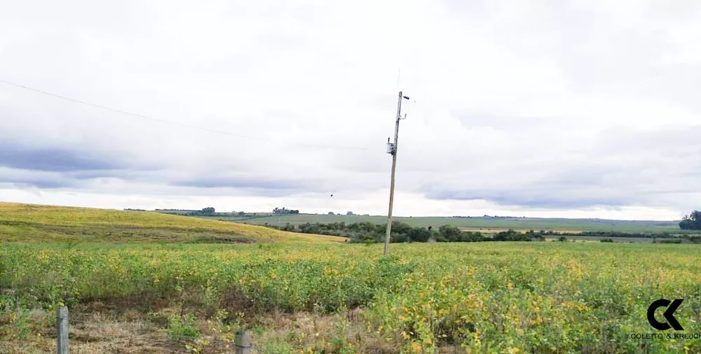 Fazenda, 150 hectares - Foto 3