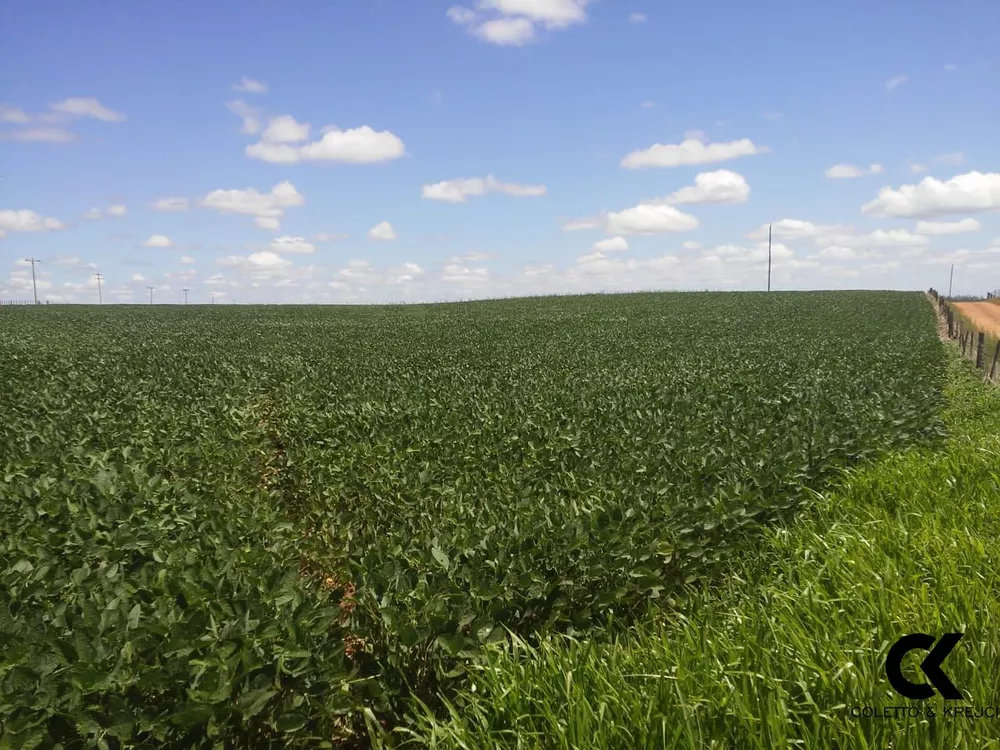 Fazenda, 78 hectares - Foto 1