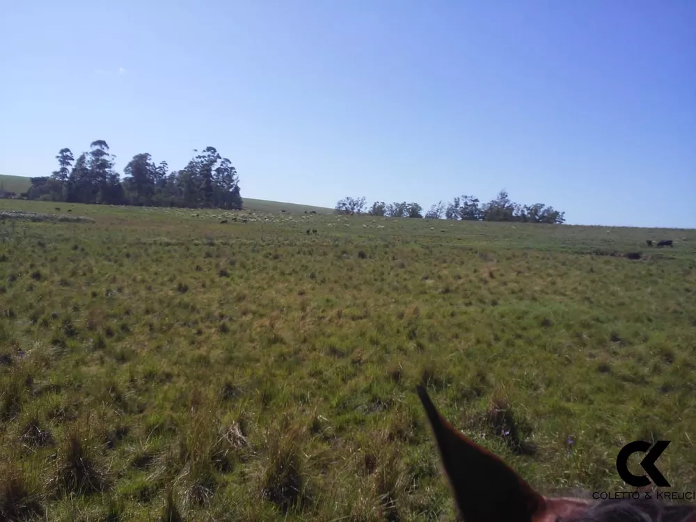 Fazenda, 78 hectares - Foto 2