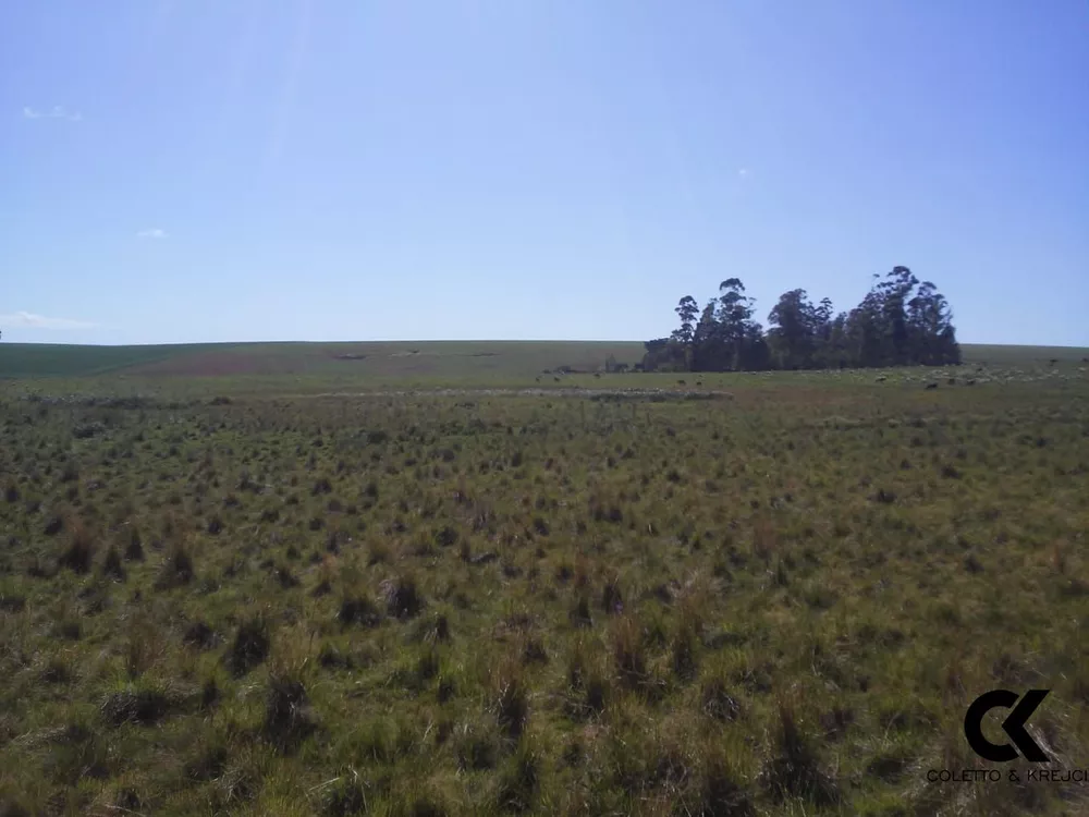 Fazenda, 78 hectares - Foto 4