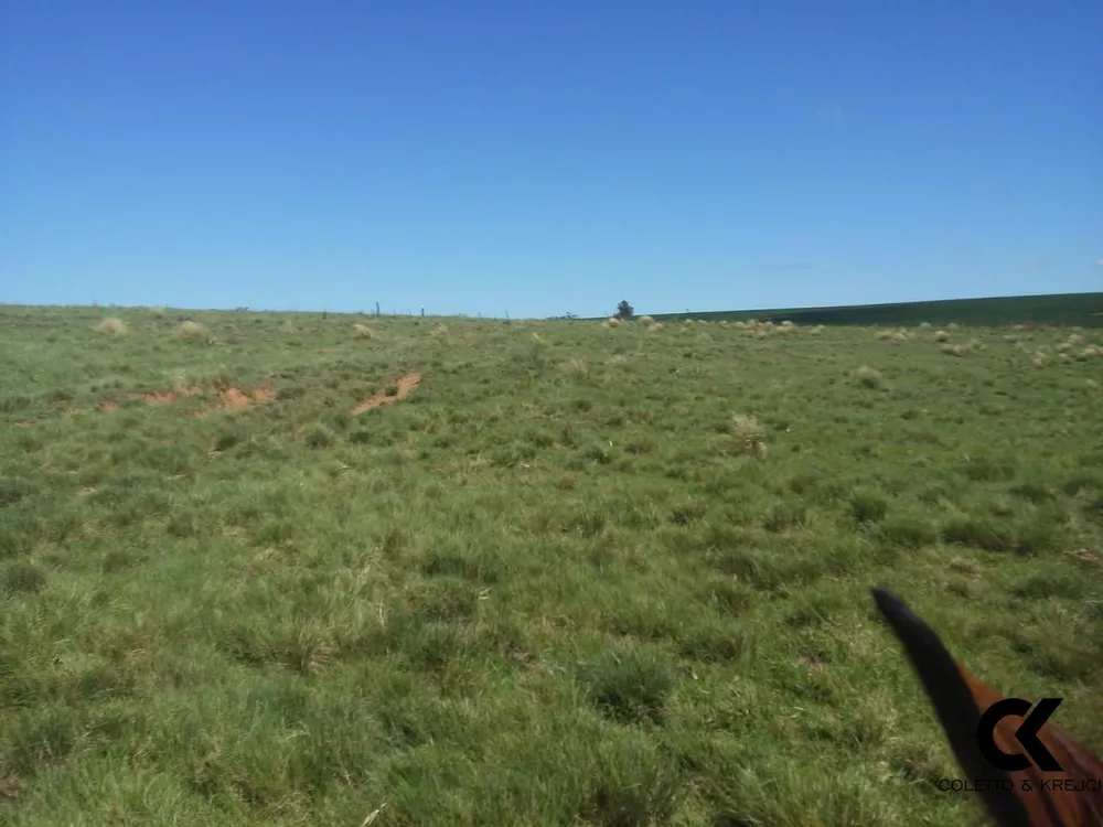 Fazenda, 78 hectares - Foto 3