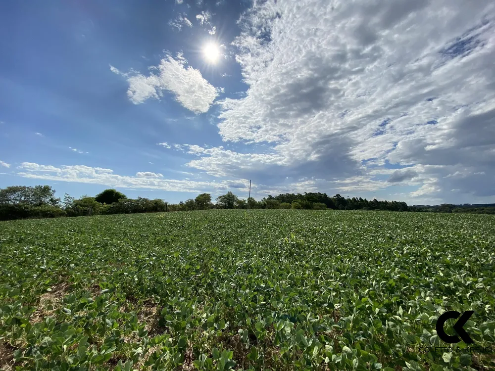 Chácara, 8 hectares - Foto 1