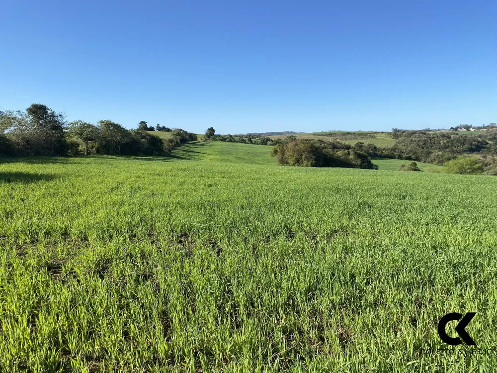 Terreno, 3 hectares - Foto 1