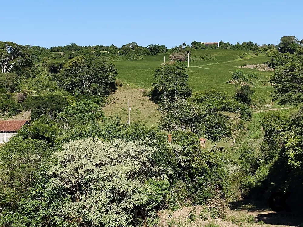 Fazenda, 60 hectares - Foto 4