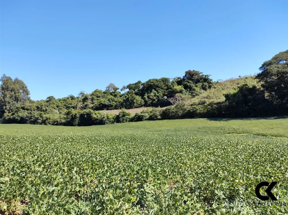 Fazenda, 60 hectares - Foto 3