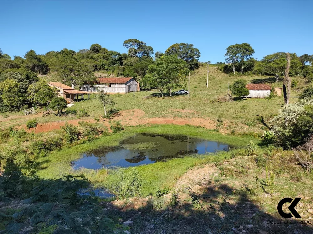 Fazenda, 60 hectares - Foto 1