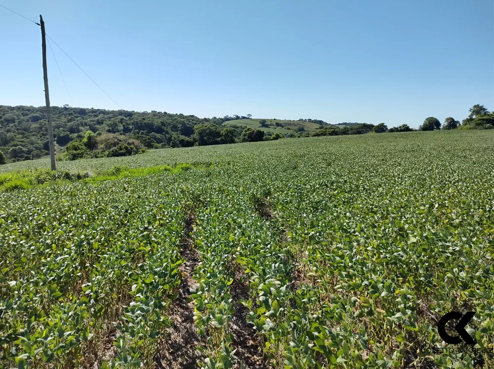 Fazenda, 60 hectares - Foto 2