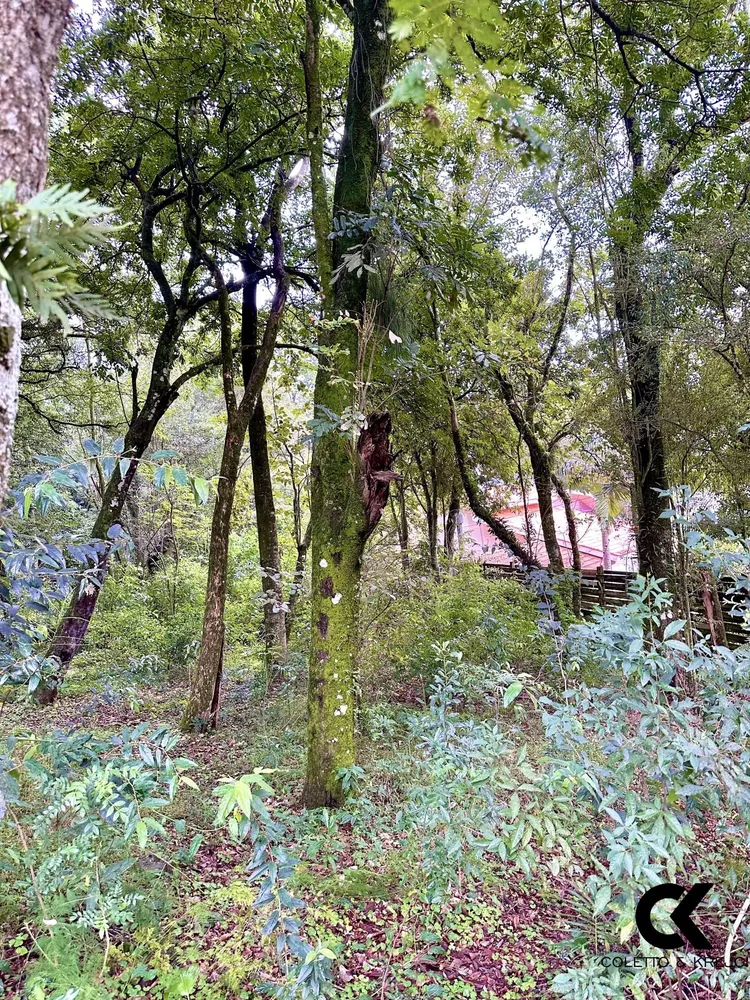Terreno, 997 m² - Foto 2