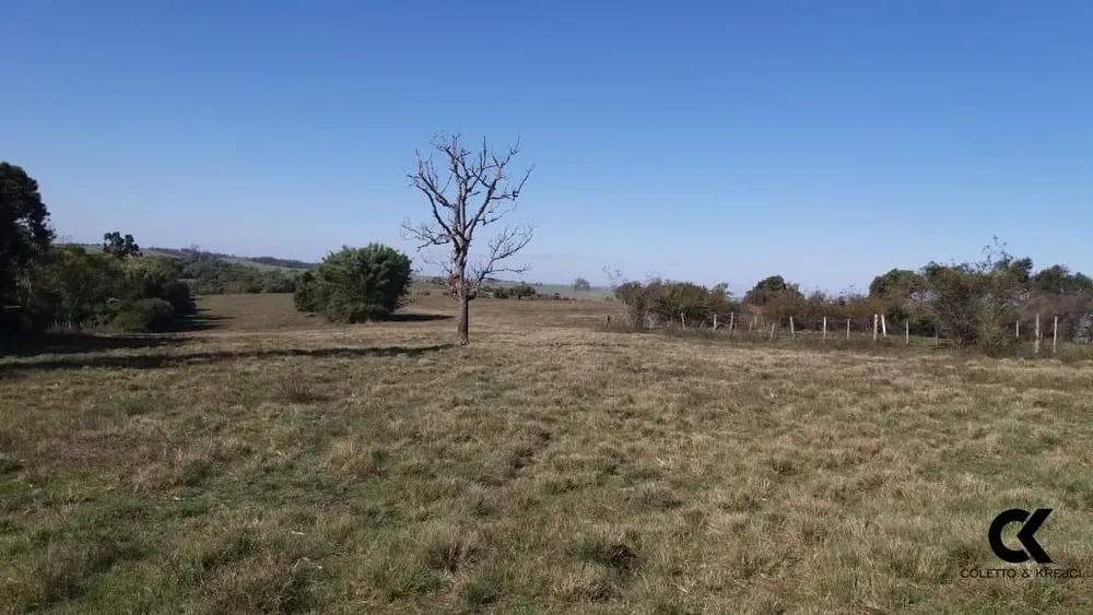 Sítio, 1 quarto, 30 hectares - Foto 4