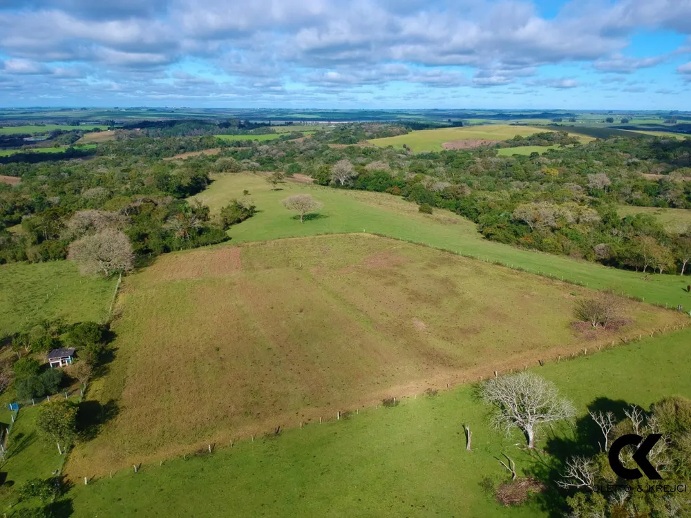 Fazenda, 46 hectares - Foto 13