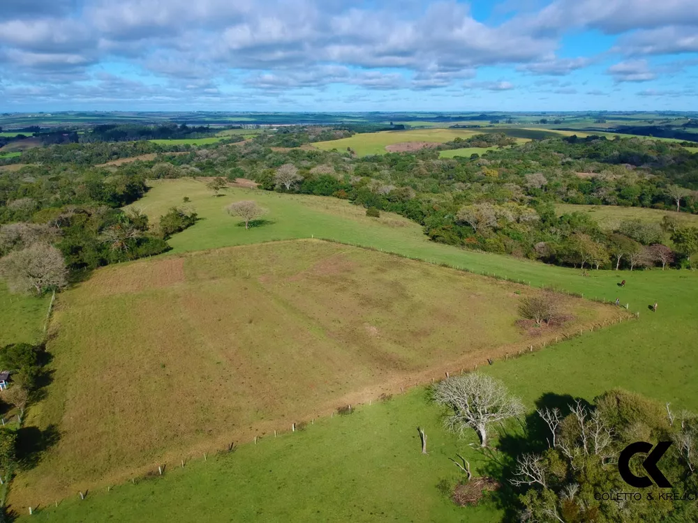 Fazenda, 46 hectares - Foto 8