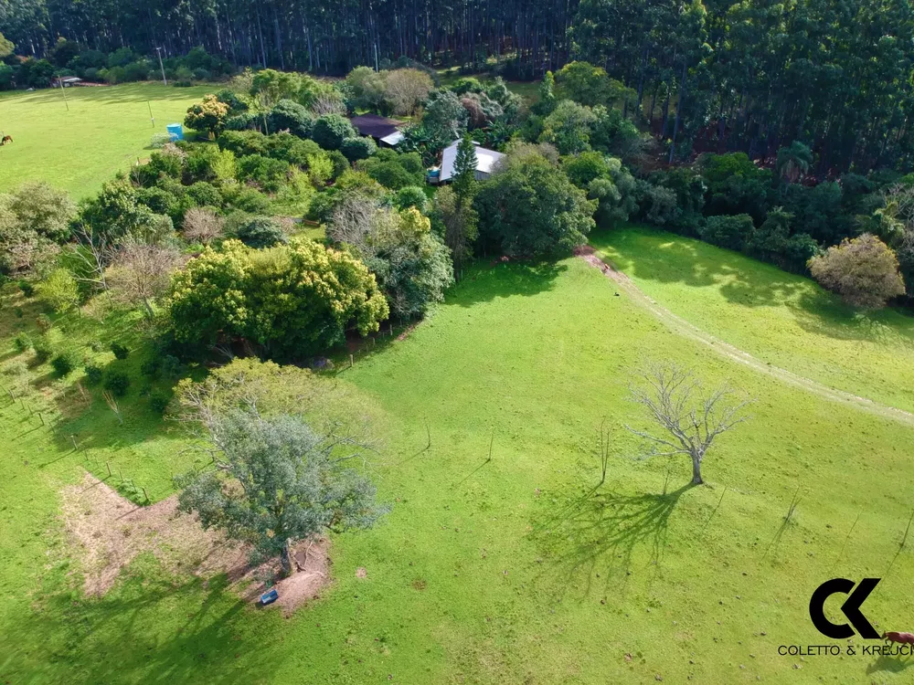 Fazenda, 46 hectares - Foto 4