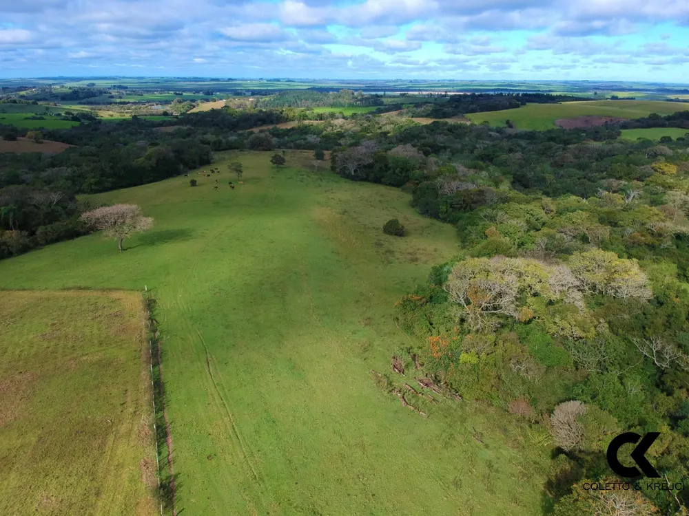 Fazenda, 46 hectares - Foto 10