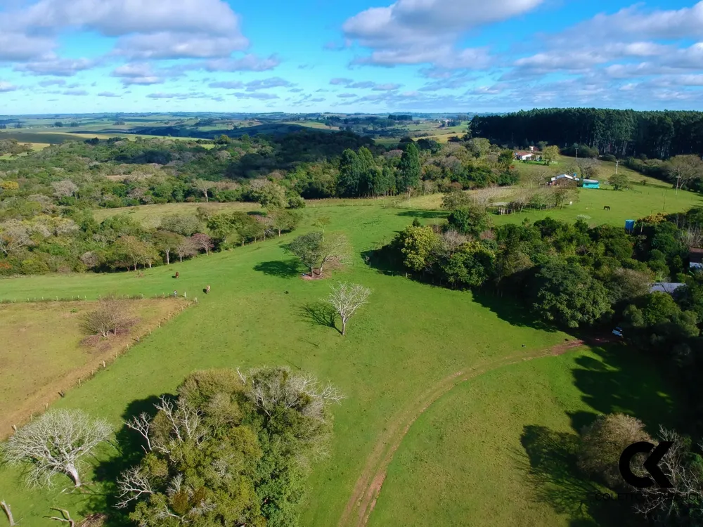 Fazenda, 46 hectares - Foto 9