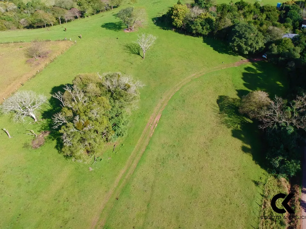 Fazenda, 46 hectares - Foto 7