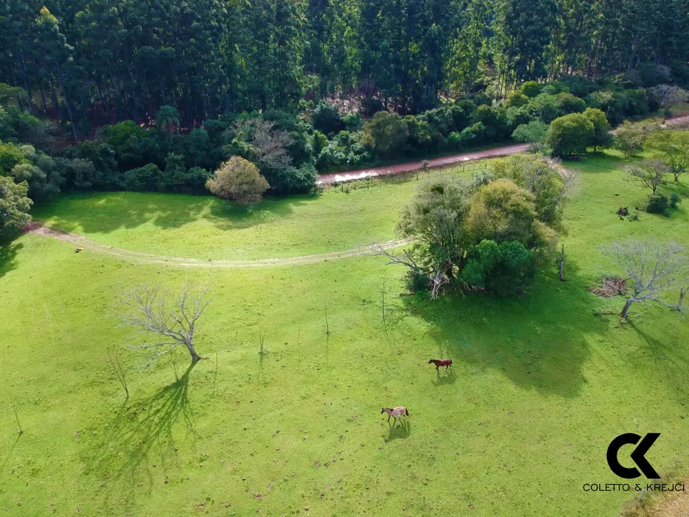 Fazenda, 46 hectares - Foto 11