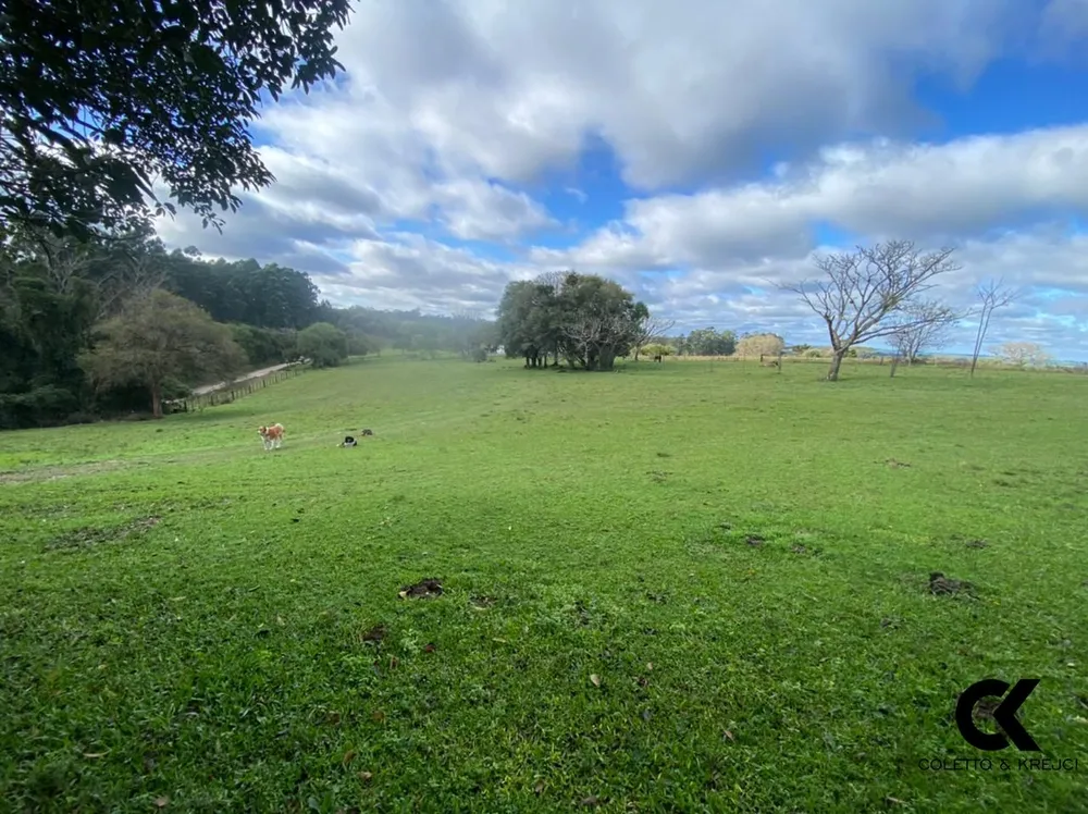 Fazenda, 46 hectares - Foto 12