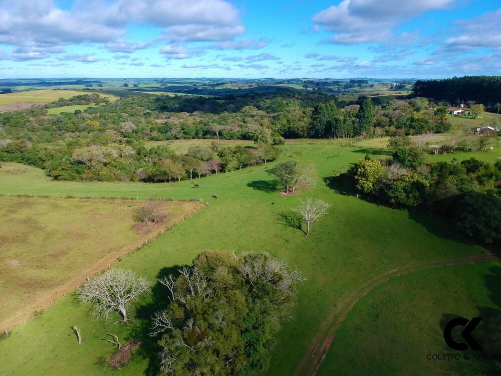 Fazenda, 46 hectares - Foto 6