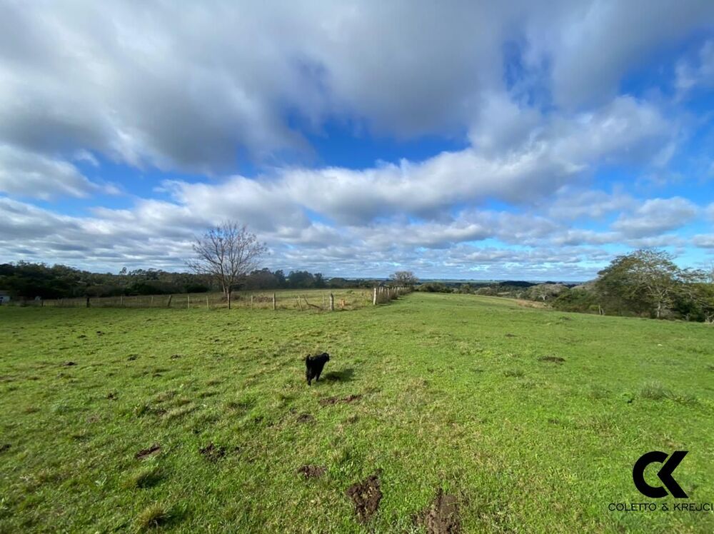 Fazenda, 46 hectares - Foto 1