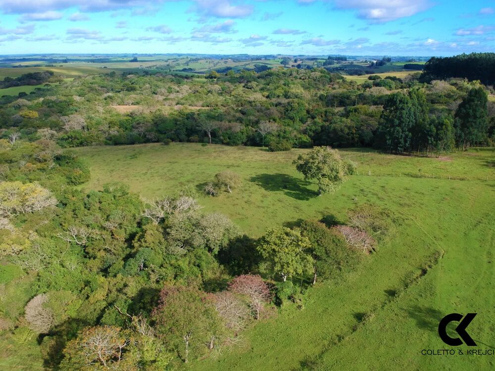 Fazenda, 46 hectares - Foto 2