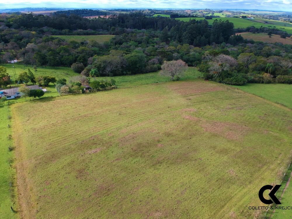Fazenda, 46 hectares - Foto 3