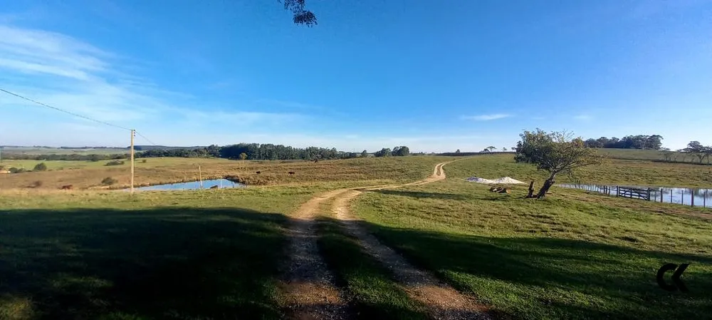 Fazenda, 7 hectares - Foto 6