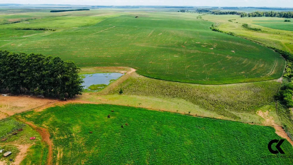Fazenda, 430 hectares - Foto 1