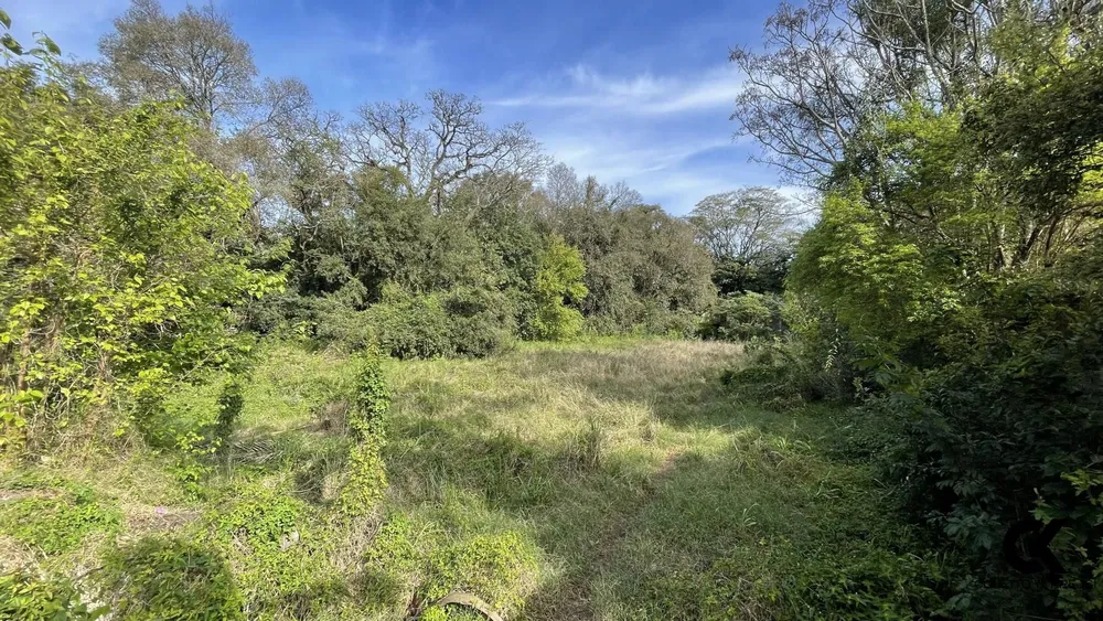 Terreno, 3548 m² - Foto 4