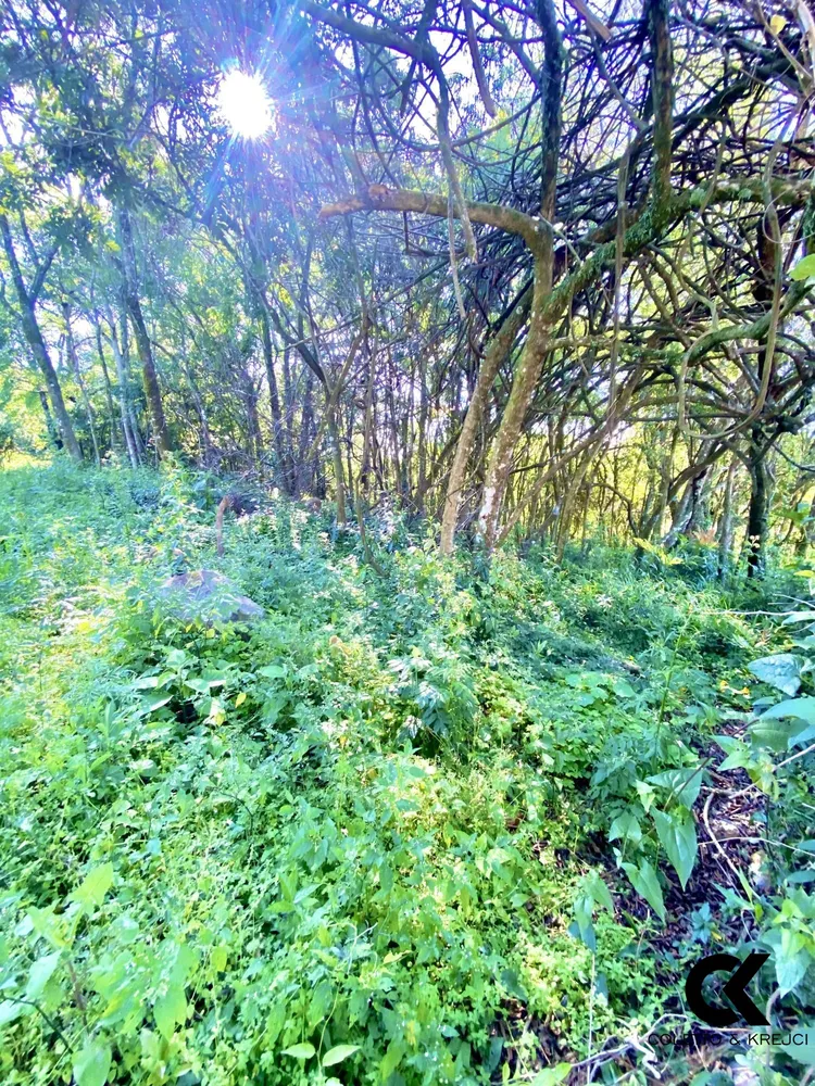 Terreno, 360 m² - Foto 1