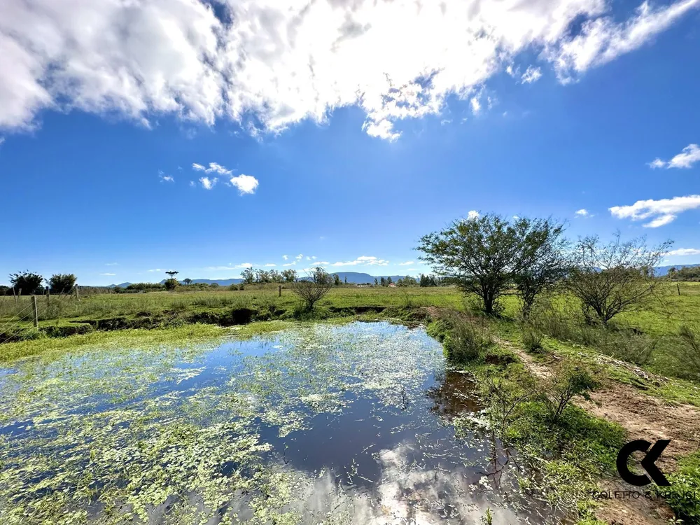 Chácara, 10000 m² - Foto 3