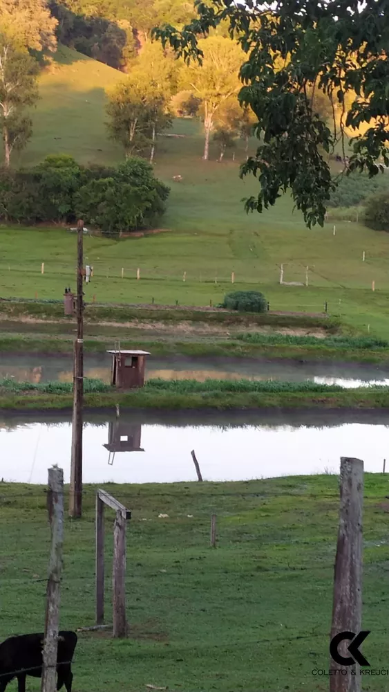 Sítio, 2 quartos, 4 hectares - Foto 15